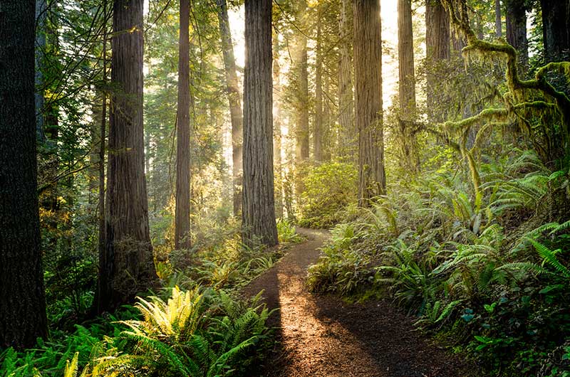 Santa Cruz Mountains